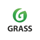 Grass