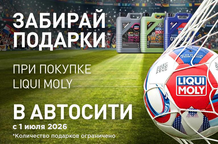 Мяч LIQUI MOLY