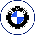 Оригинальные масла BMW